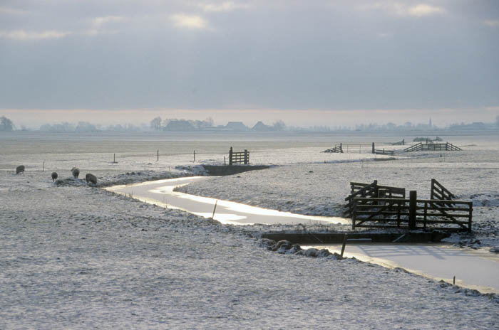 sneeuw, landschap, agrarisch, Friesland
