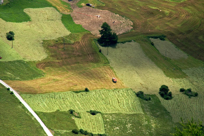 agrarisch, hooiland, Inn-tal, Guarda, Ardez, Graubünden, Zwitserland