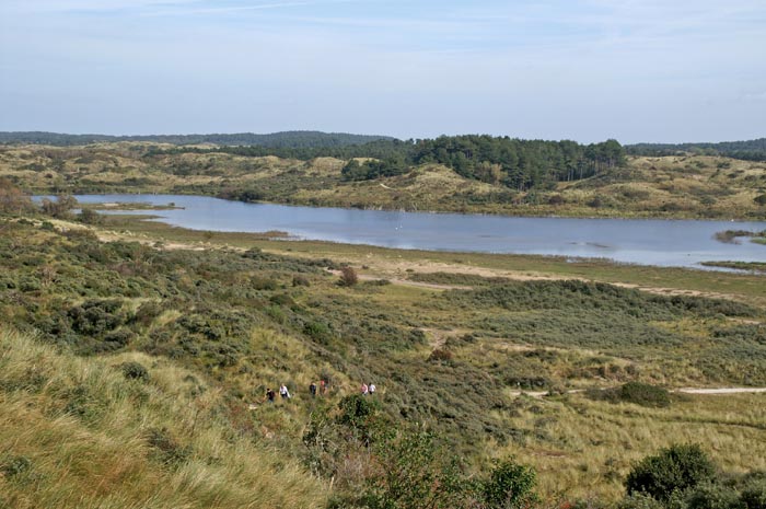 duinen, duinmeer, Vogelmeer, Kennemerduinen, Nationaal park Zuid Kennemerland