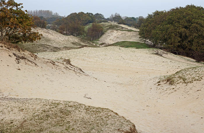Zeepeduinen, duinen, zand, stuiven, verstuiving, Schouwen