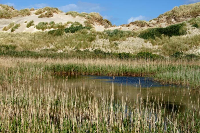 Terschelling, duinen, duinvallei, zeereep