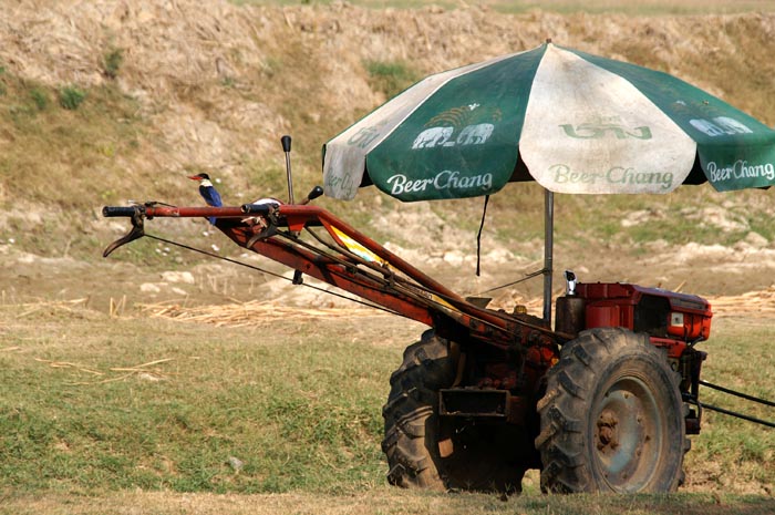 landbouw, irrigatie, koeling, rijstvelden, Thailand