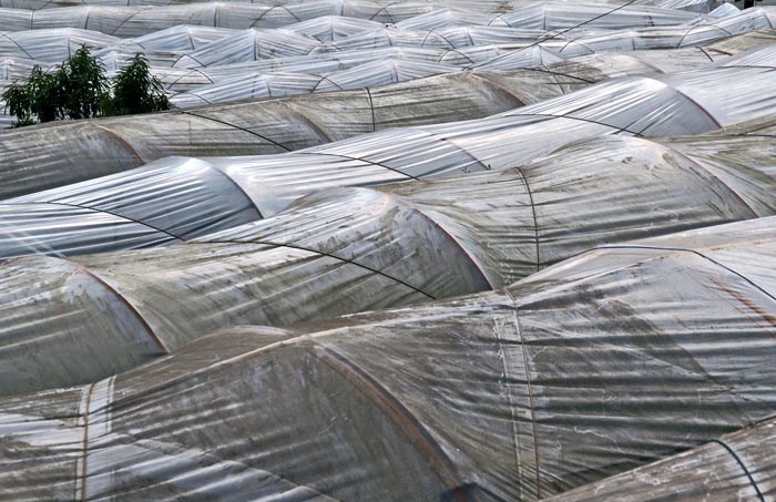 tuinbouw, agrarisch, kassen, Doi Inthanon, Thailand