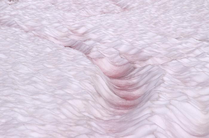 sneeuw, bloedsneeuw, watermeloensneeuw, alg, Chlamydomonas nivalis, Lai Blau, Zwitserland