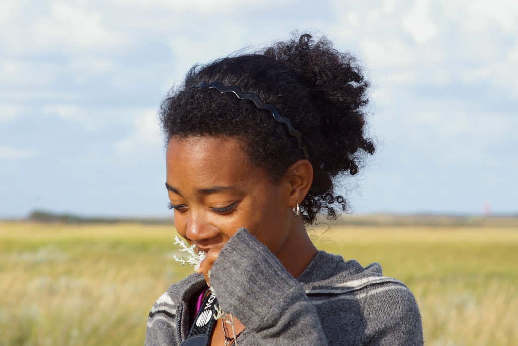 zeealsem plant geur kwelder