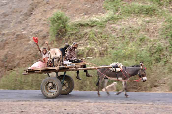 ezel ezelwagen Ethiopië