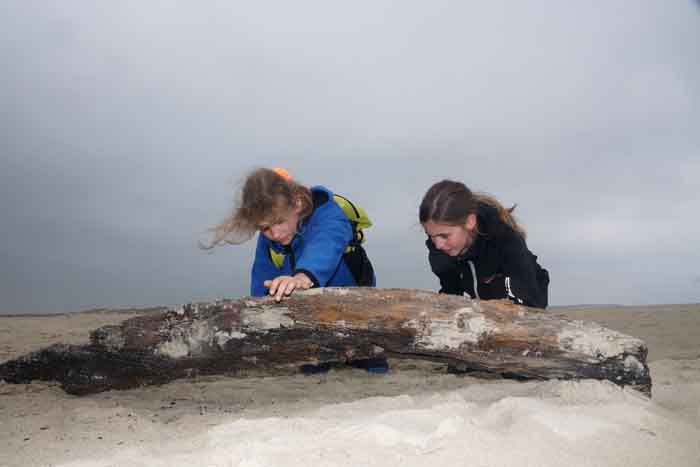hout strand kinderen Texel