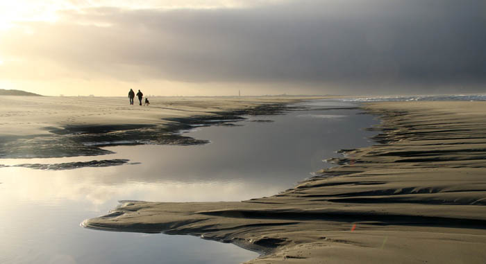 strand wandelaar Texel