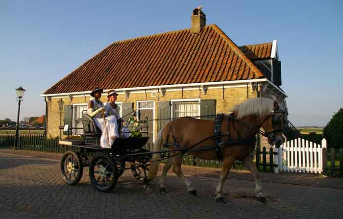 ringsteken paard en wagen Texel Den Hoorn