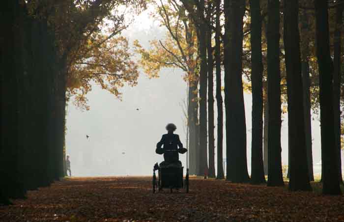 driewieler bos herfst