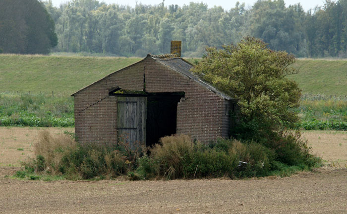 landbouw, schuur, verval, natuur