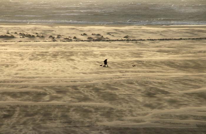 Texel zand strand stuiven wandelaars