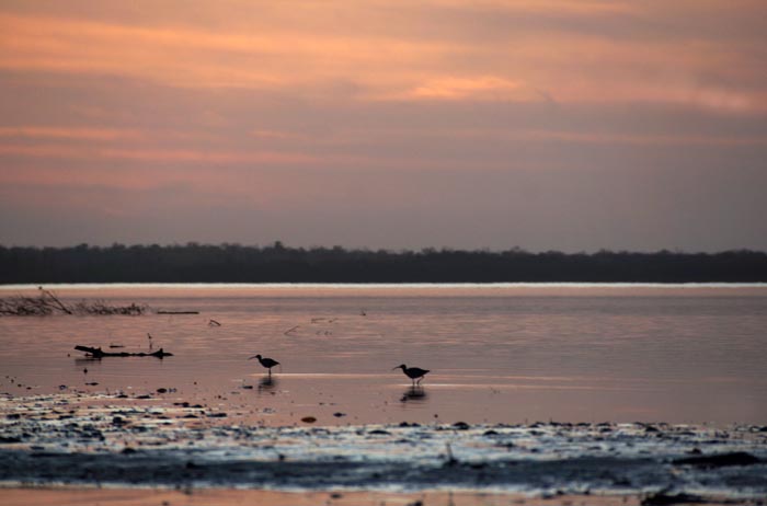 zonsondergang, Gambia-rivier, Tendaba, Gambia