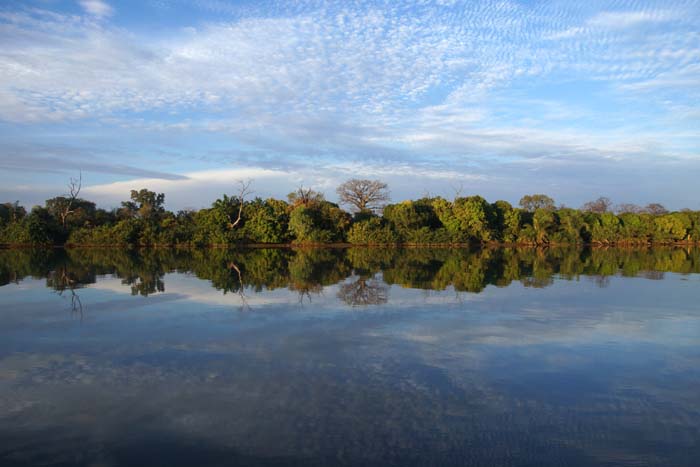 Gambia rivier weerspiegeling