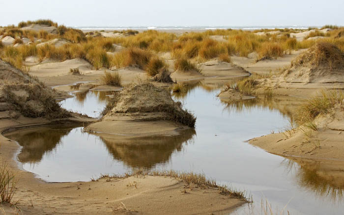 de Hors, Texel, duinvorming, plassen regenwater, waddengebied