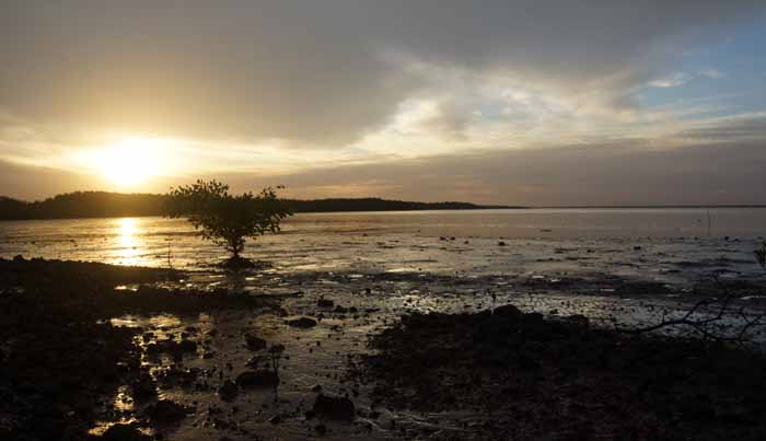 Gambia Tendaba zonsondergang mangrove