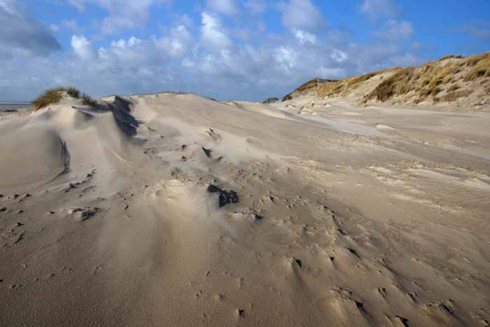 stuifzand duin strand Hors Texel