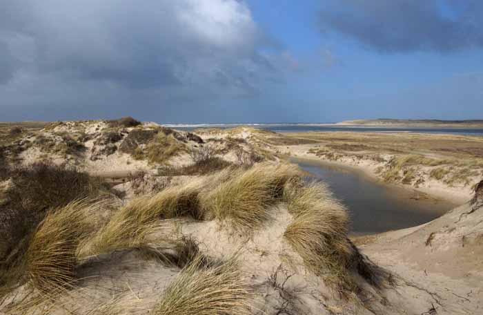 Texel Slufter Slufterbollen