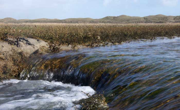 Texel Slufter storm overtstroming water