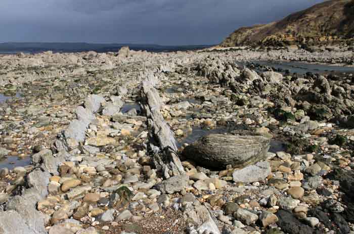 Picardie frankrijk Cap Gris Nez rotsen strand