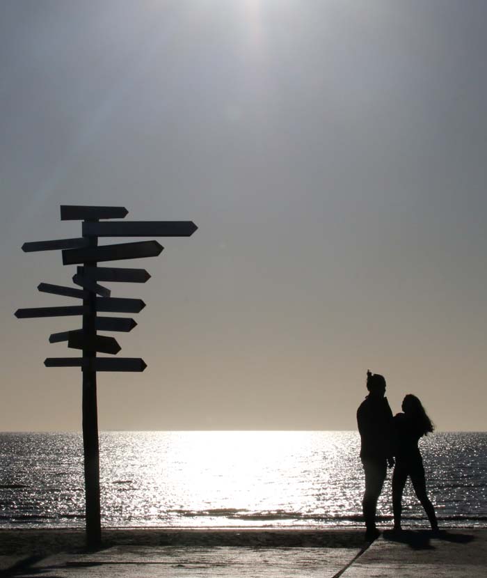 Texel strand zee toekomst