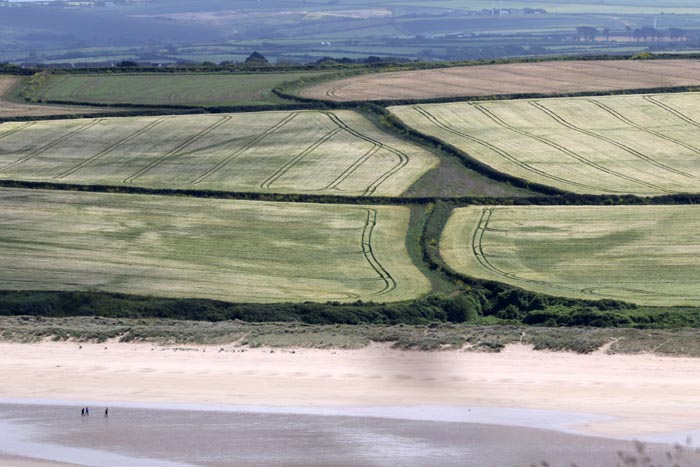 Graanakkers, landschap, Padstow, kust, strand, Cornwall