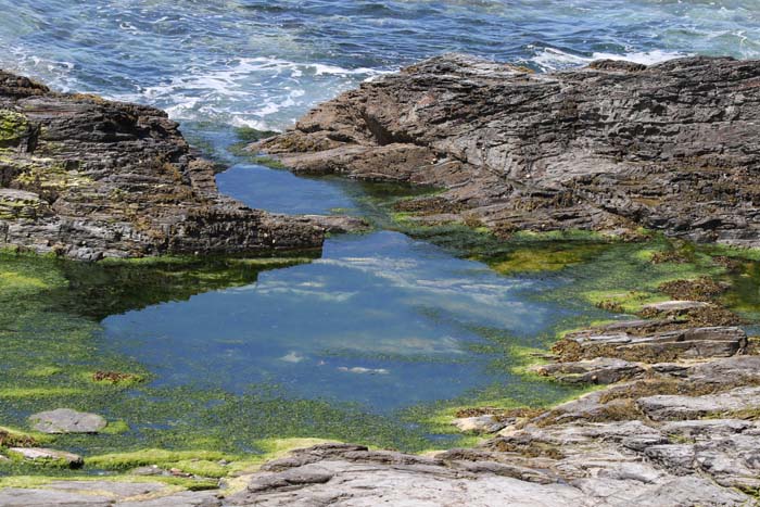 Getijdepoel, rotsen, kust, wieren, Camelrivier, Cornwall