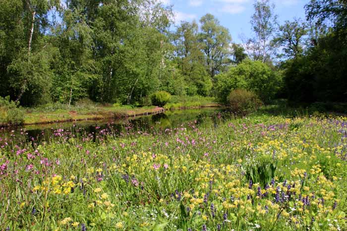 Amstelveen park heempark Thijssepark