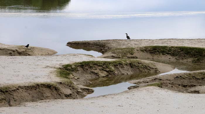Engeland Cornwall Camel River slik geul