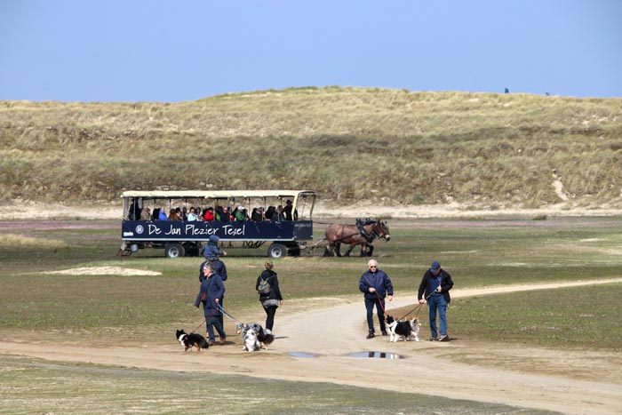 Slufter Texel hondenuitlater jan Plezier