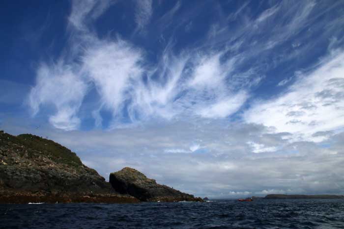 Engeland, Cornwall, wildlife safari