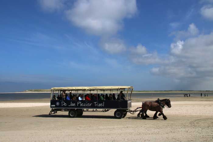 Texel Jan plezier paard slufter