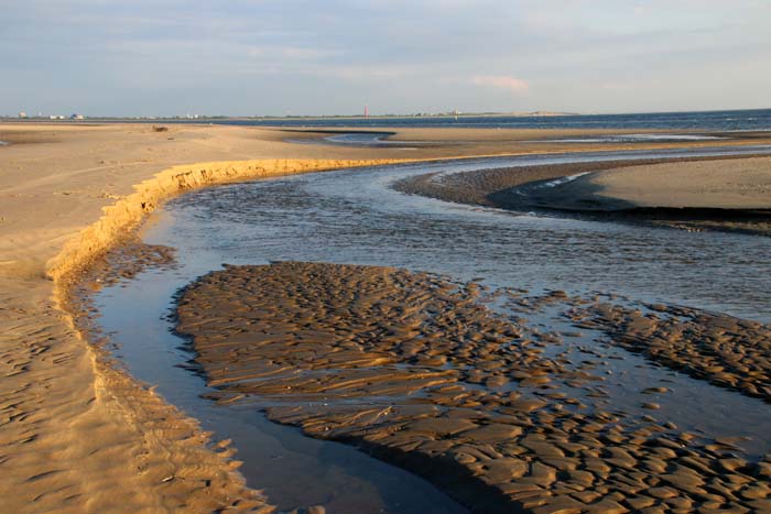 strand texel erosie golfribbels zandbank
